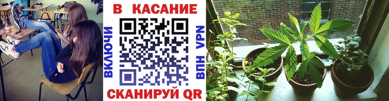 Виды наркотиков купить Богданович Альфа ПВП  Меф  АМФ  Марихуана  Гашиш 