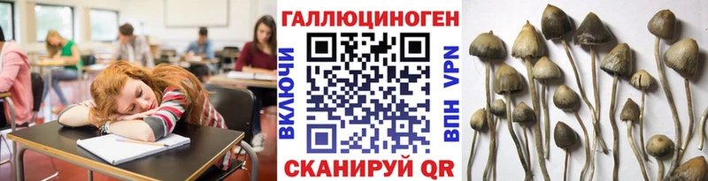 купить закладку  Богданович  Галлюциногенные грибы ЛСД 